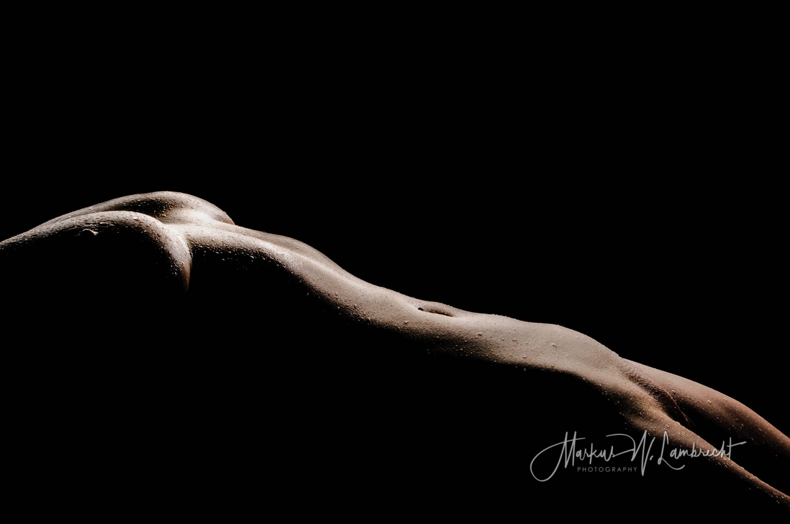 Female Bodyparts - Brüste