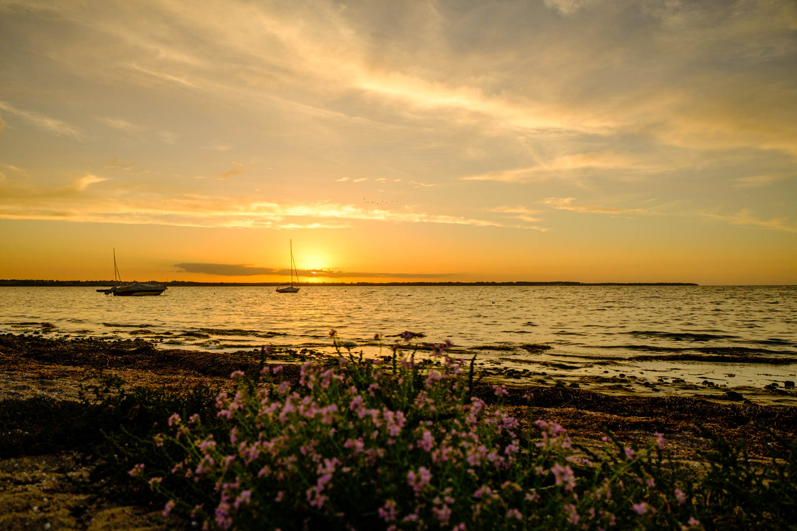 Hohenkirchen (Mecklenburg)